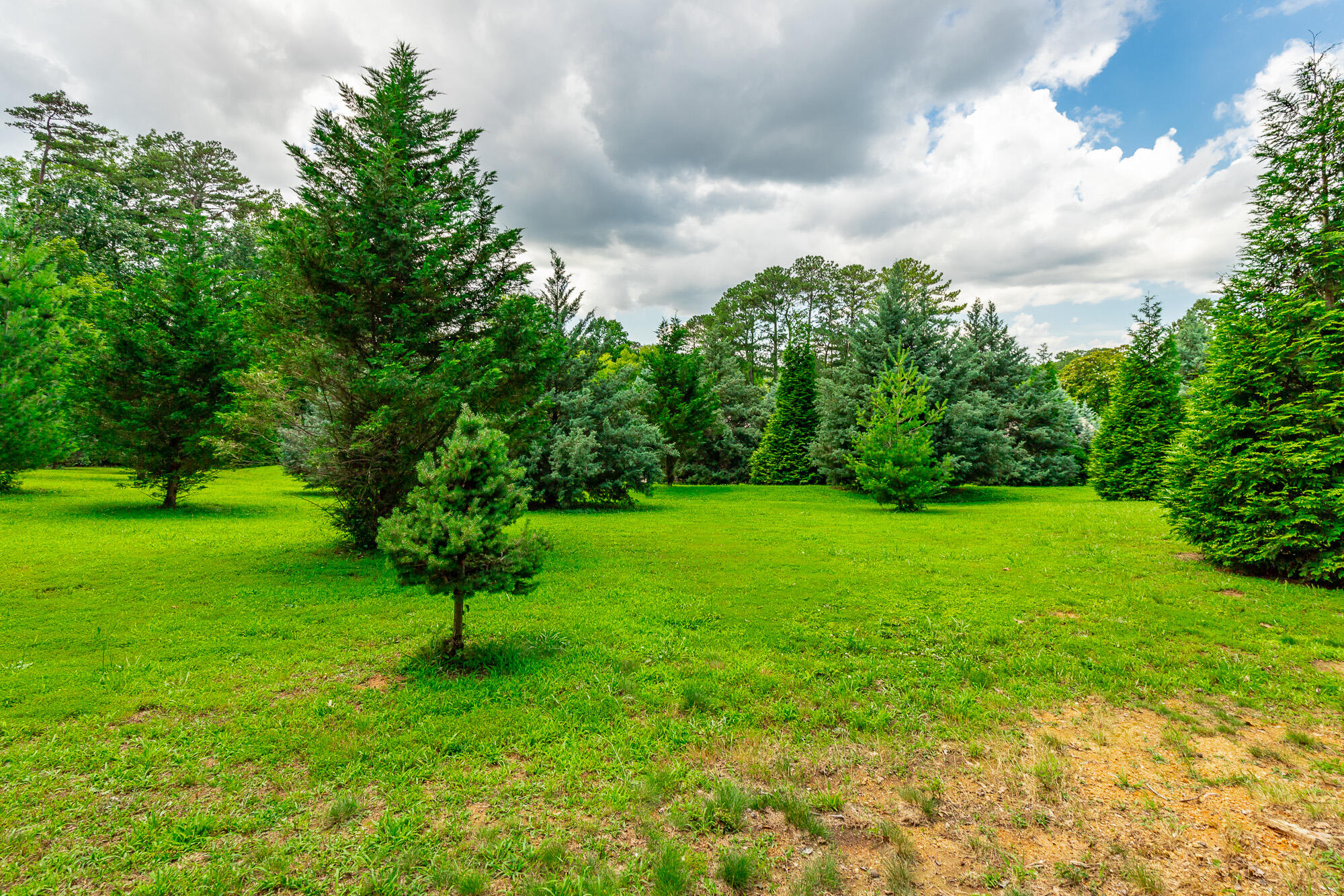 2046 North Concord Road Chattanooga, TN 37421 - Photo 96 of 101 2046 North Concord Road HD-94