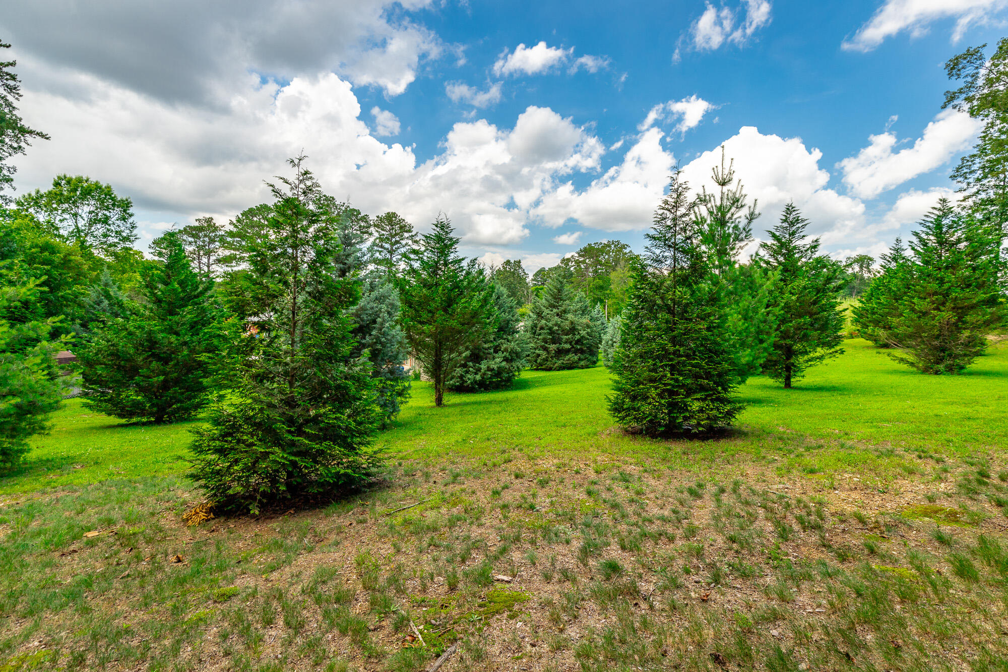 2046 North Concord Road Chattanooga, TN 37421 - Photo 97 of 101 2046 North Concord Road HD-96