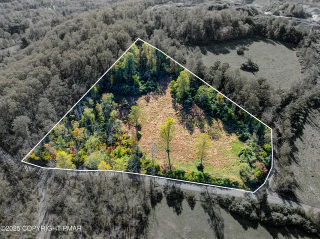 a view of a wooden bridge