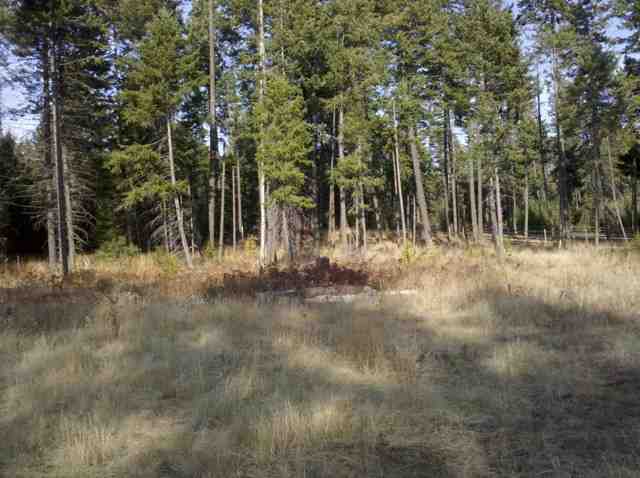 4372 Camden Road Newport, WA 99156 - Photo 3 of 6