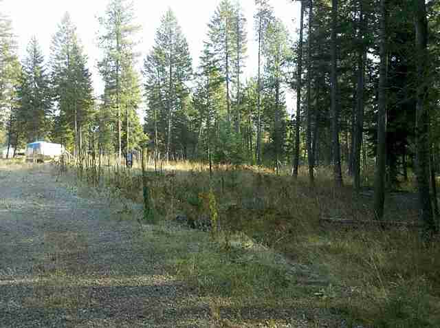 4372 Camden Road Newport, WA 99156 - Photo 5 of 6