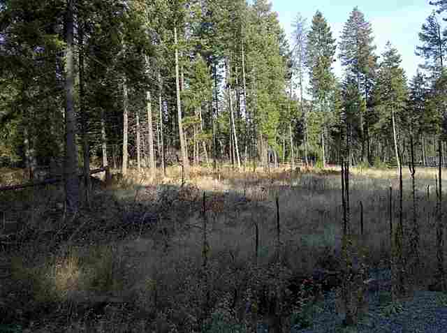 4372 Camden Road Newport, WA 99156 - Photo 6 of 6