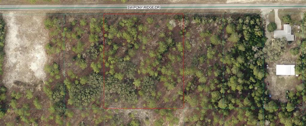 10 Southwest Pony Ridge Drive Southwest Dunnellon, FL 34431 - Photo 1 of 1