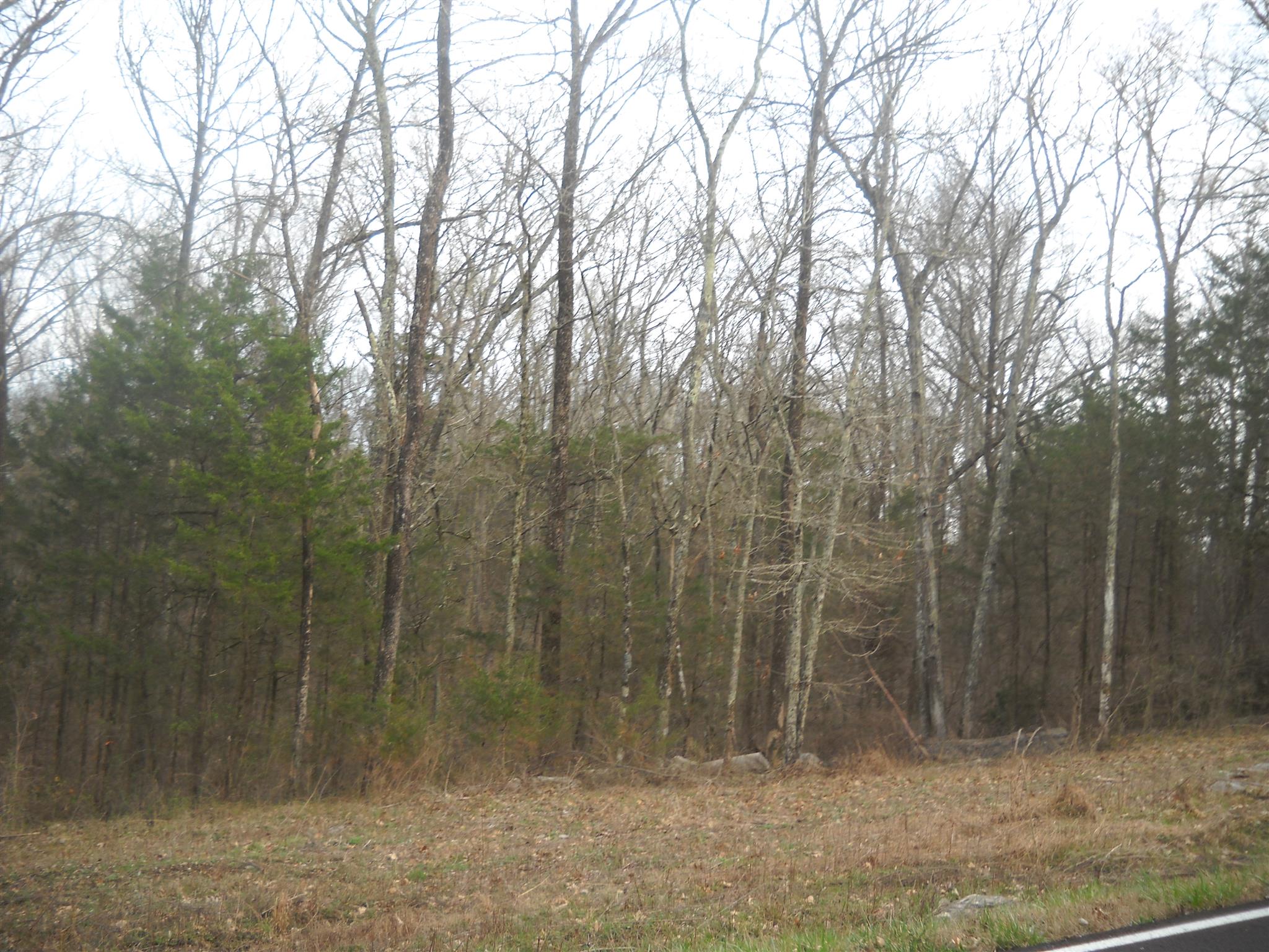 2425 Oak Grove Road Lebanon, TN 37090 - Photo 3 of 5 a view of a forest