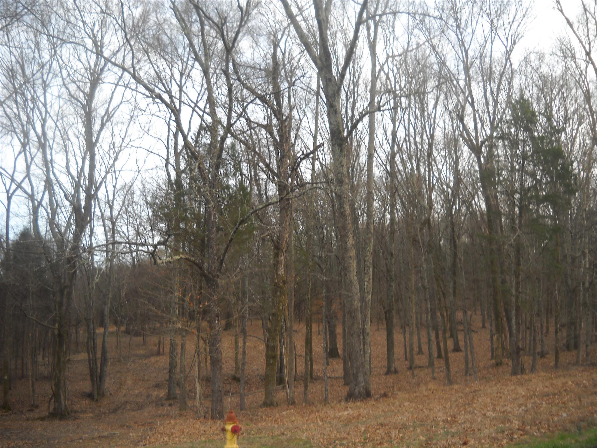 2425 Oak Grove Road Lebanon, TN 37090 - Photo 4 of 5