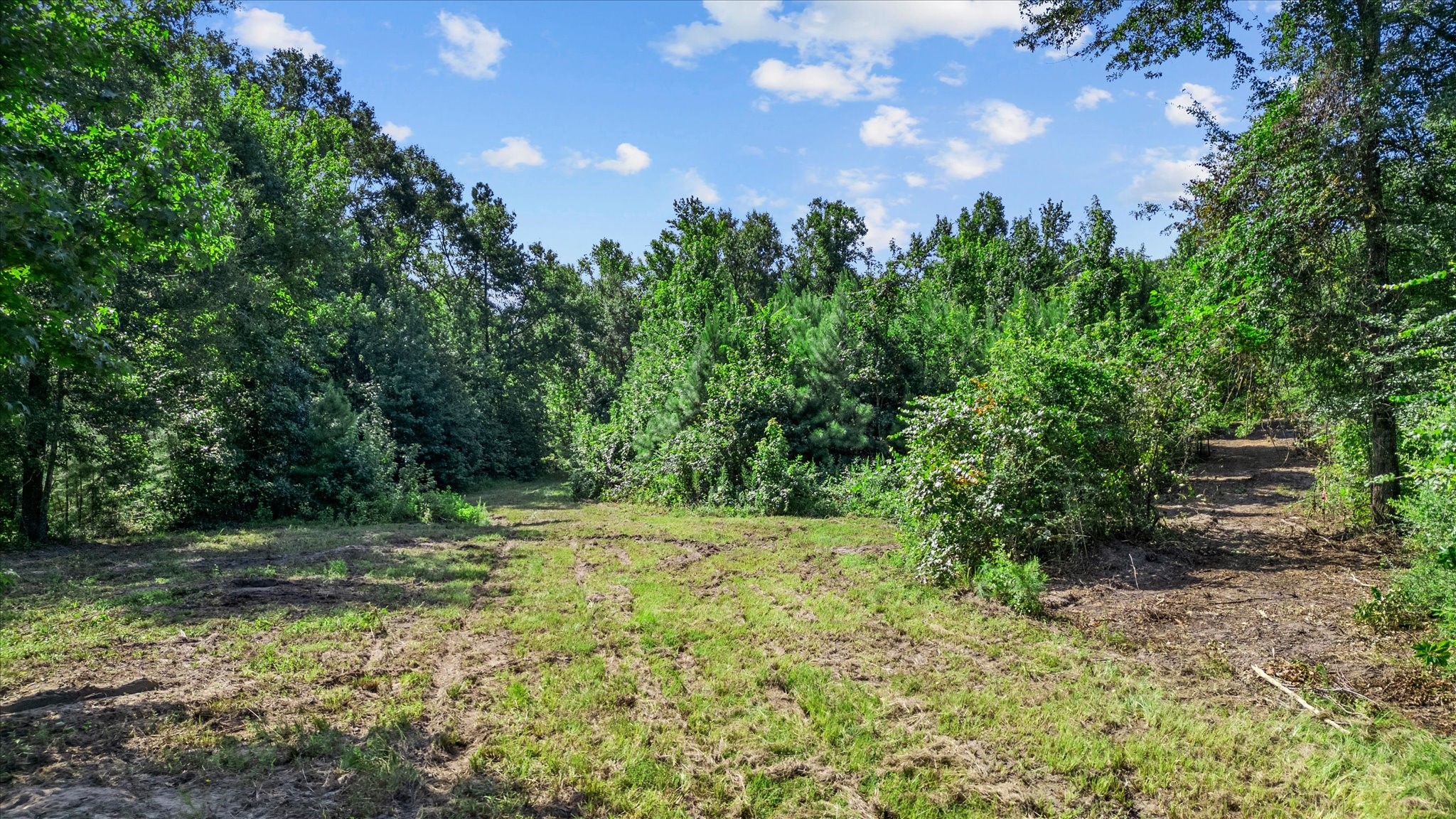Tbd Felix Currie Road Point Blank, TX 77364 - Photo 17 of 46 Gallery Image 17