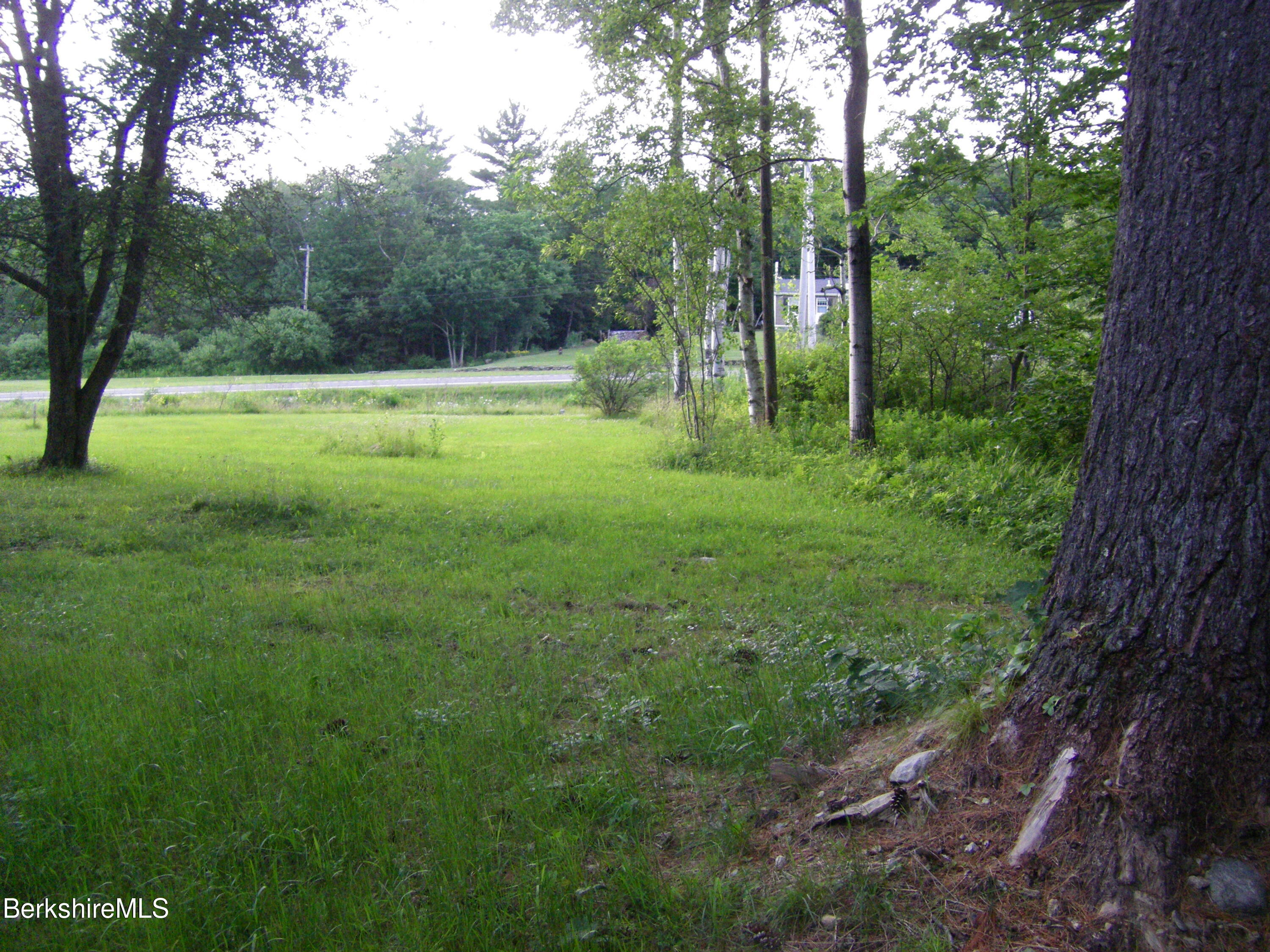 70 Mohawk Trail Florida, MA 01247 - Photo 9 of 15 Looking to the Road from The House