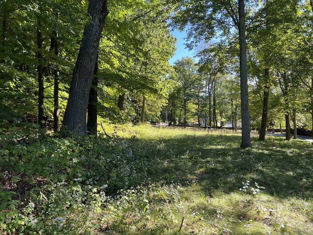 59 Whittemore Road Sturbridge, MA 01566 - Photo 17 of 25 Gallery Image 17