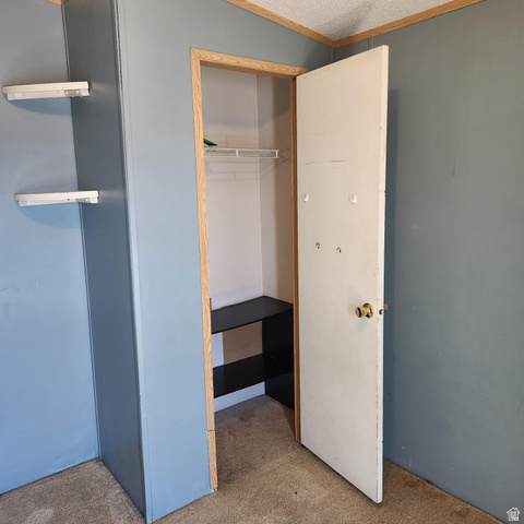 3760 Gold Ridge Drive, Unit 82 Magna, UT 84044 - Photo 25 of 29 Interior room featuring a closet with a built-in wire shelf and a black laminate storage unit