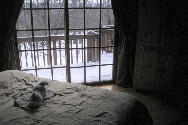 90 Pheasant Run Bushkill, PA 18324 - Photo 7 of 10 Bedroom