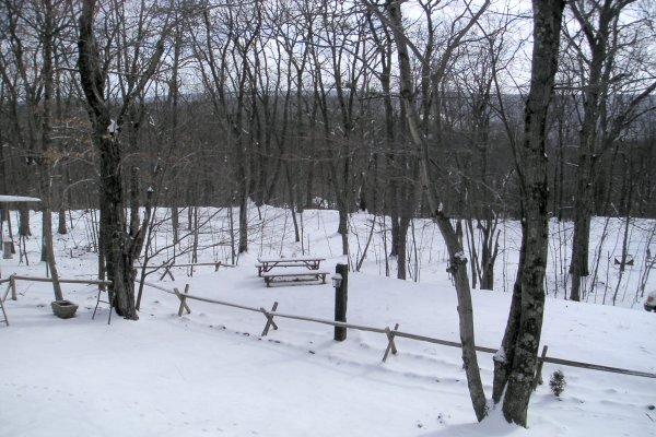 90 Pheasant Run Bushkill, PA 18324 - Photo 9 of 10 Yard