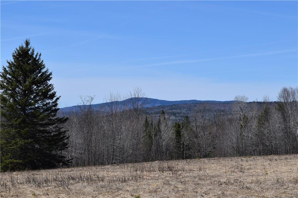 Lot 11 Bennett Pond Road Parkman, ME 04443 - Photo 24 of 35 Photo