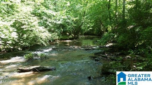 East Mill Road Lineville, AL 36266 - Photo 1 of 13
