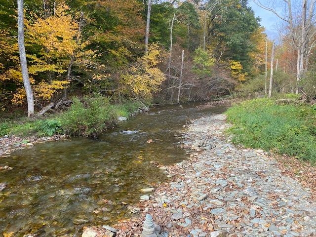 3600 West Sandgate Road Sandgate, VT 05250 - Photo 17 of 37 Gallery Image 17