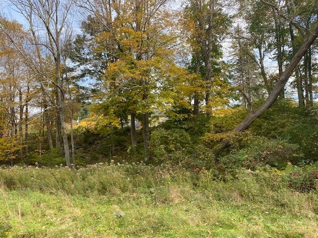 3600 West Sandgate Road Sandgate, VT 05250 - Photo 20 of 37 Gallery Image 20