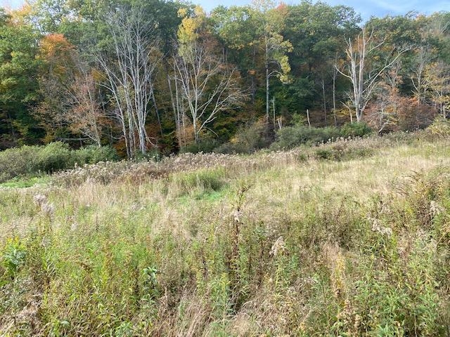 3600 West Sandgate Road Sandgate, VT 05250 - Photo 21 of 37 Gallery Image 21