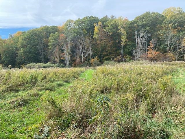 3600 West Sandgate Road Sandgate, VT 05250 - Photo 22 of 37 Gallery Image 22