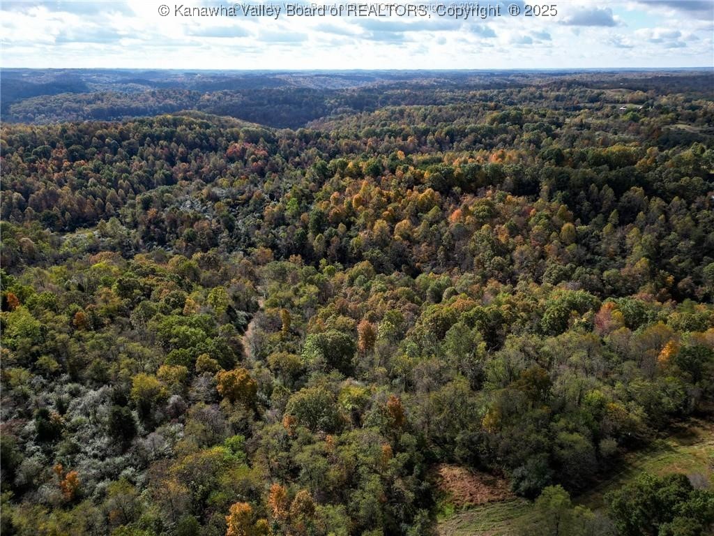 0 Baier Ridge Road Cottageville, WV 25239 - Photo 11 of 16 Gallery Image 11