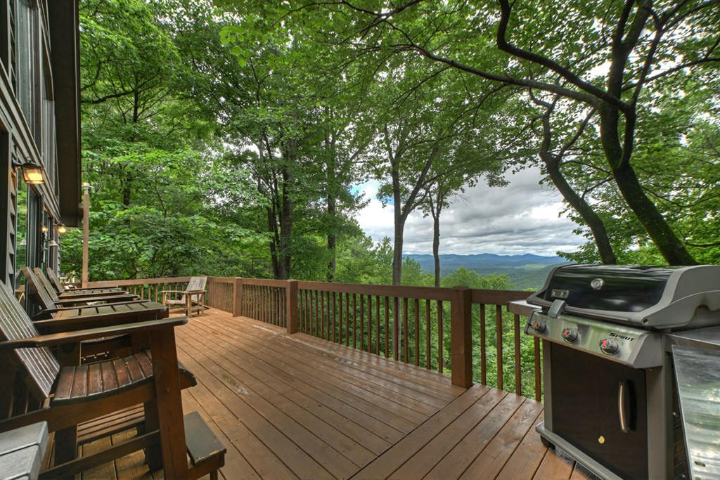 161 Walnut Ridge Ellijay, GA 30536 - Photo 15 of 66