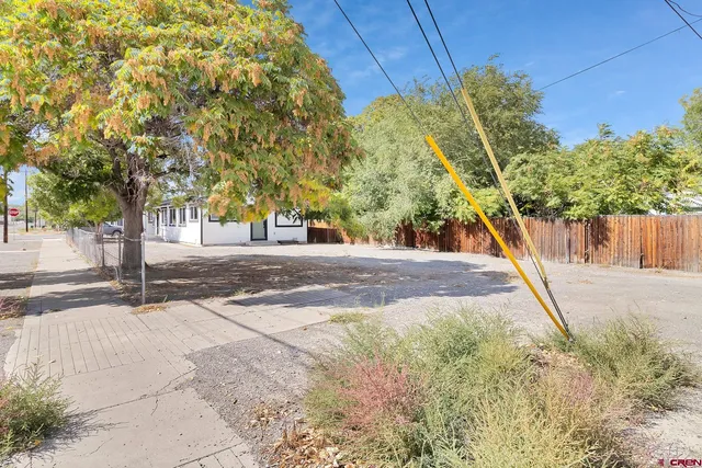 a view of a yard with plants and trees