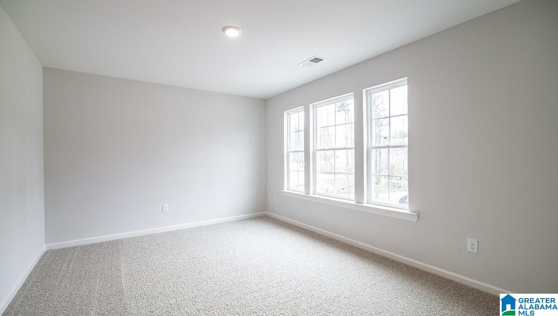 194 Rock Terrace Circle Helena, AL 35080 - Photo 22 of 31