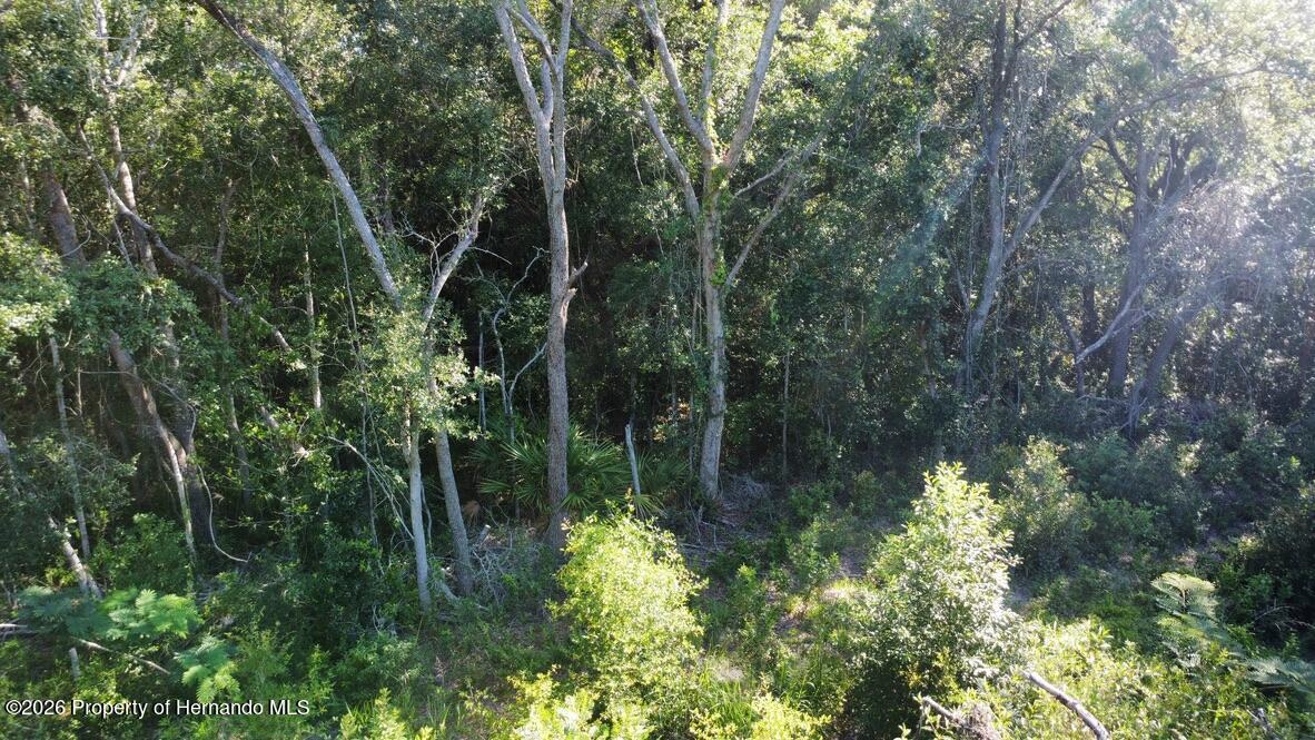 0 Little Ranch Road Spring Hill, FL 34610 - Photo 23 of 25