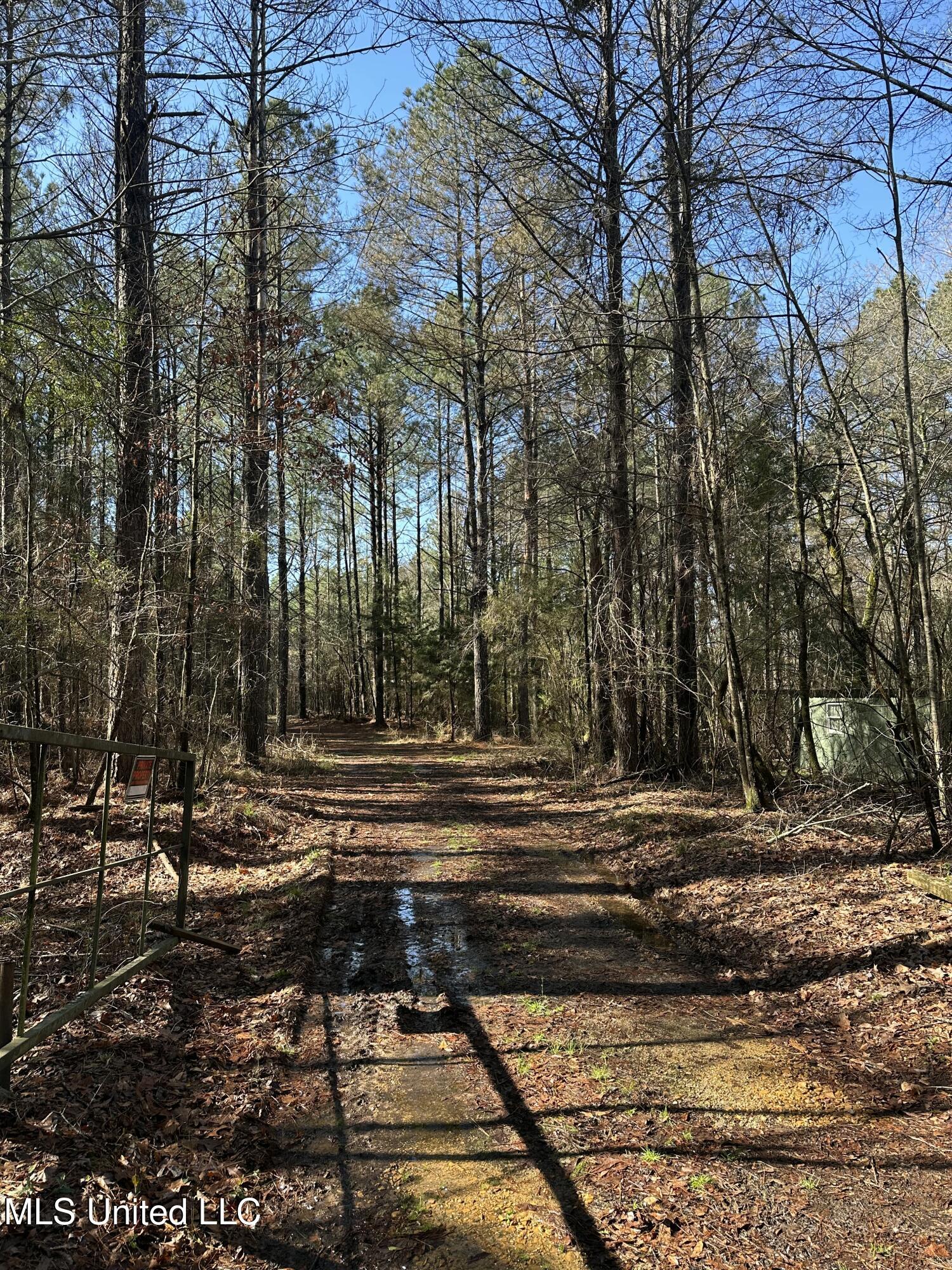 344 Hines Road Camden, MS 39045 - Photo 3 of 53 IMG_3652