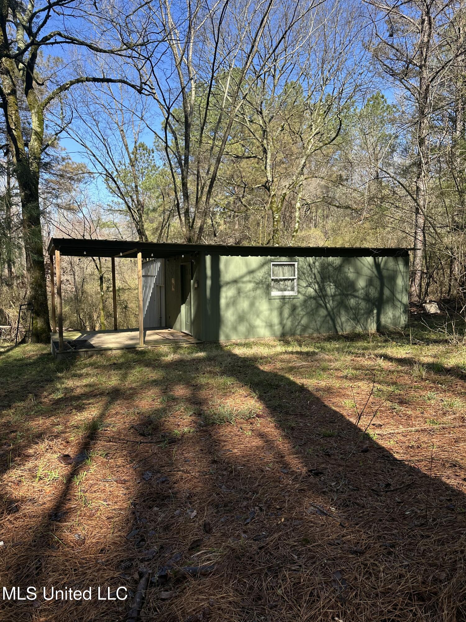 344 Hines Road Camden, MS 39045 - Photo 4 of 53 IMG_3653