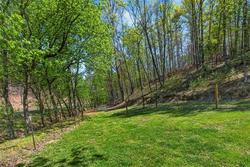 7433 Nicklesville Road Northeast Ranger, GA 30734 - Photo 30 of 53 a view of a park with large trees
