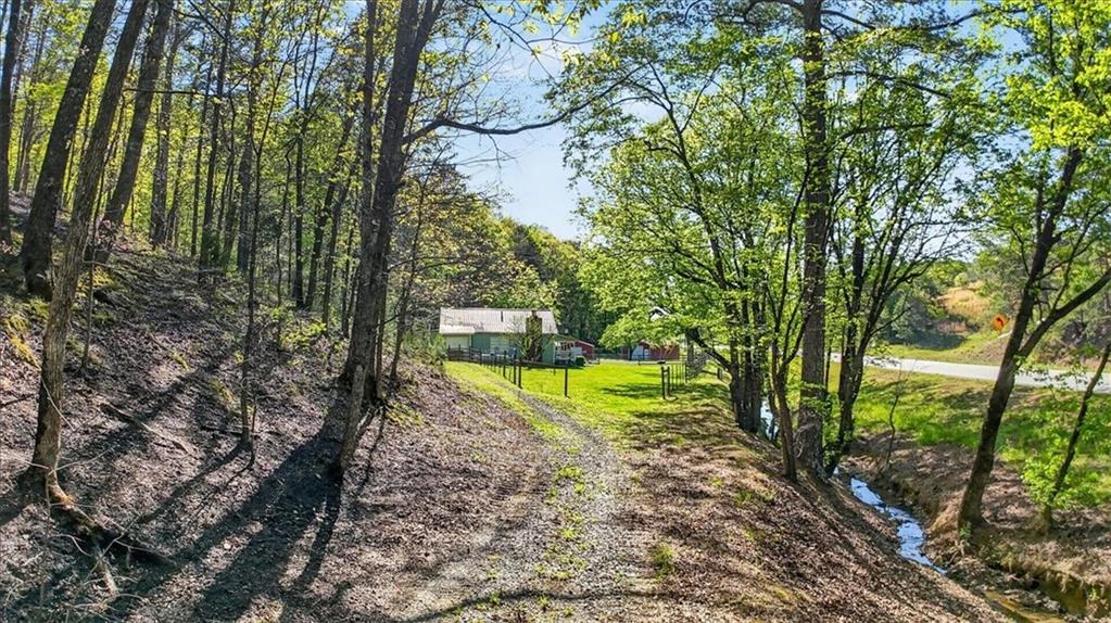 7433 Nicklesville Road Northeast Ranger, GA 30734 - Photo 35 of 53 a view of a yard with plants and large trees