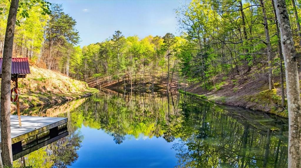 7433 Nicklesville Road Northeast Ranger, GA 30734 - Photo 40 of 53