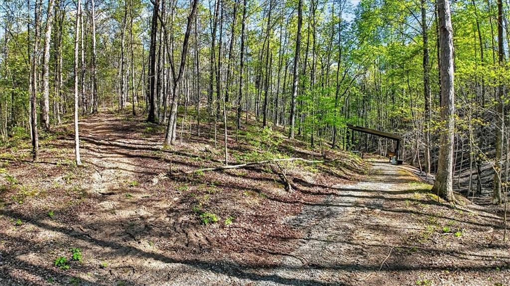 7433 Nicklesville Road Northeast Ranger, GA 30734 - Photo 45 of 53 a view of yard