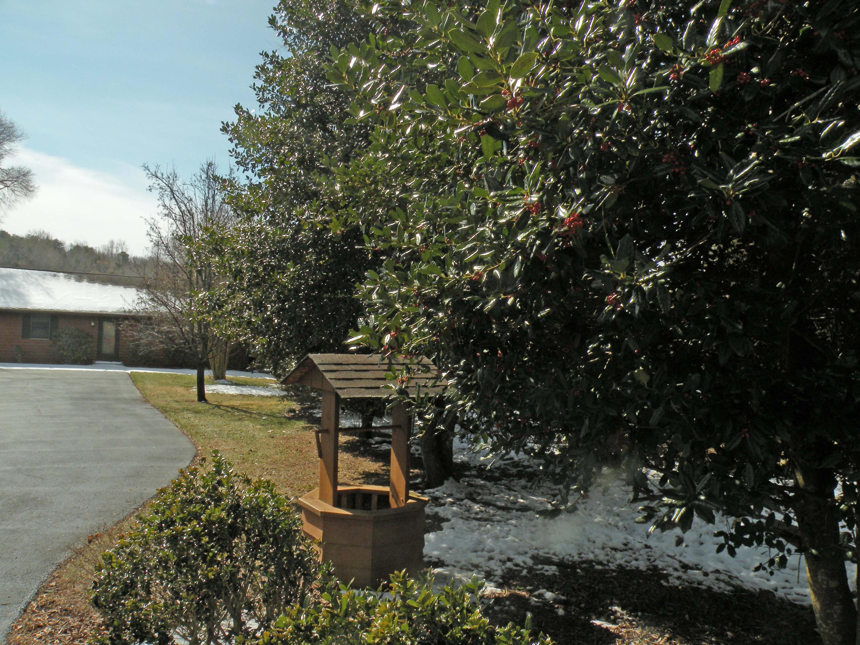 2380 Pine Ridge Road Huddleston, VA 24104 - Photo 40 of 44 DSCN6086.JPG
