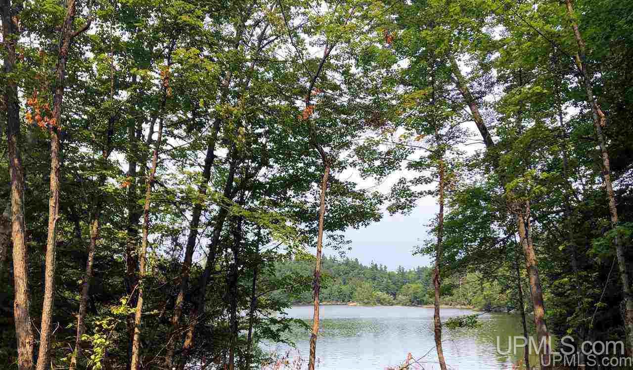 Tbd Deer Lake Road Ishpeming, MI 49849 - Photo 41 of 47