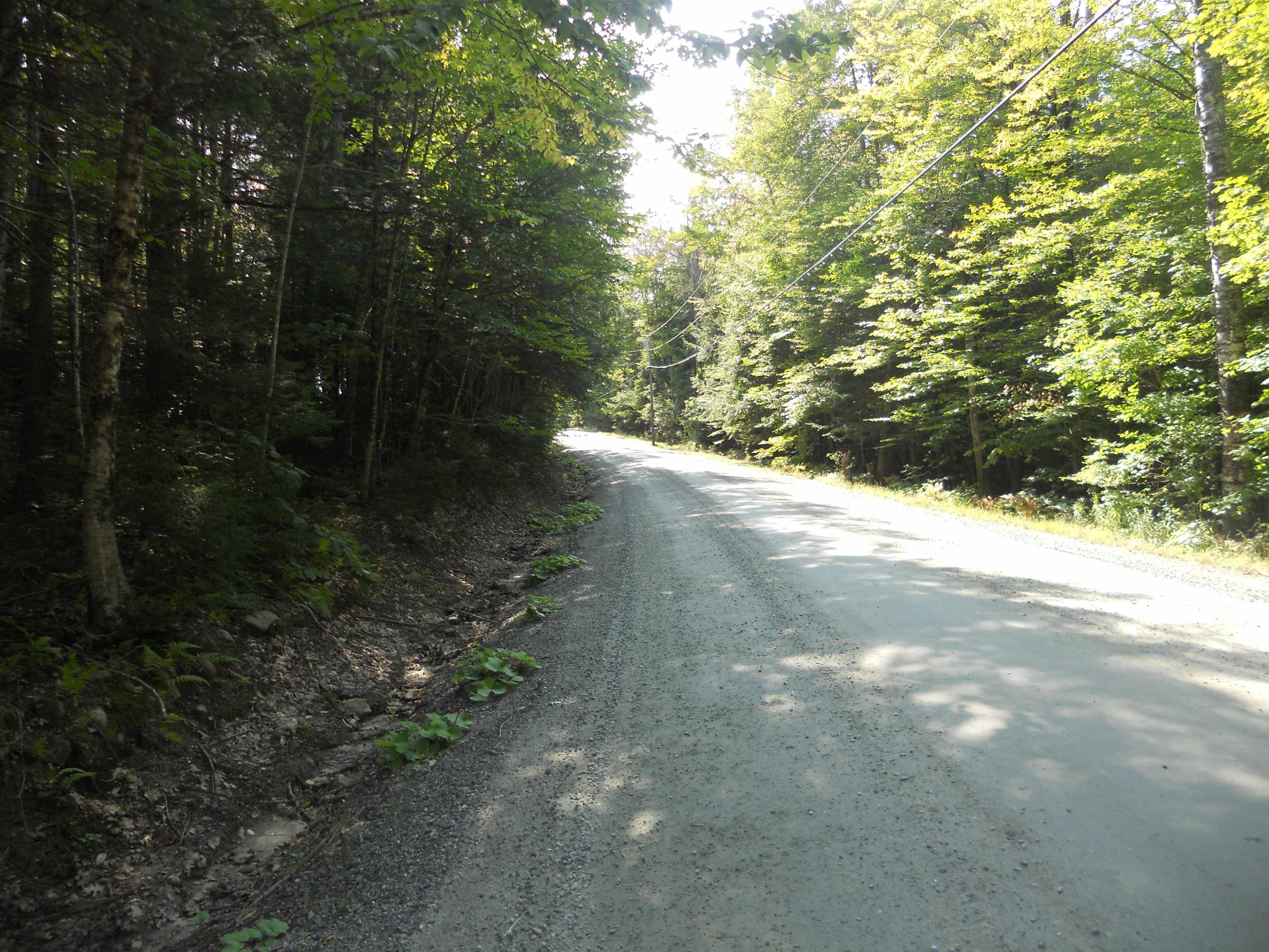 521 Miller Pond Road Grantham, NH 03753 - Photo 1 of 8