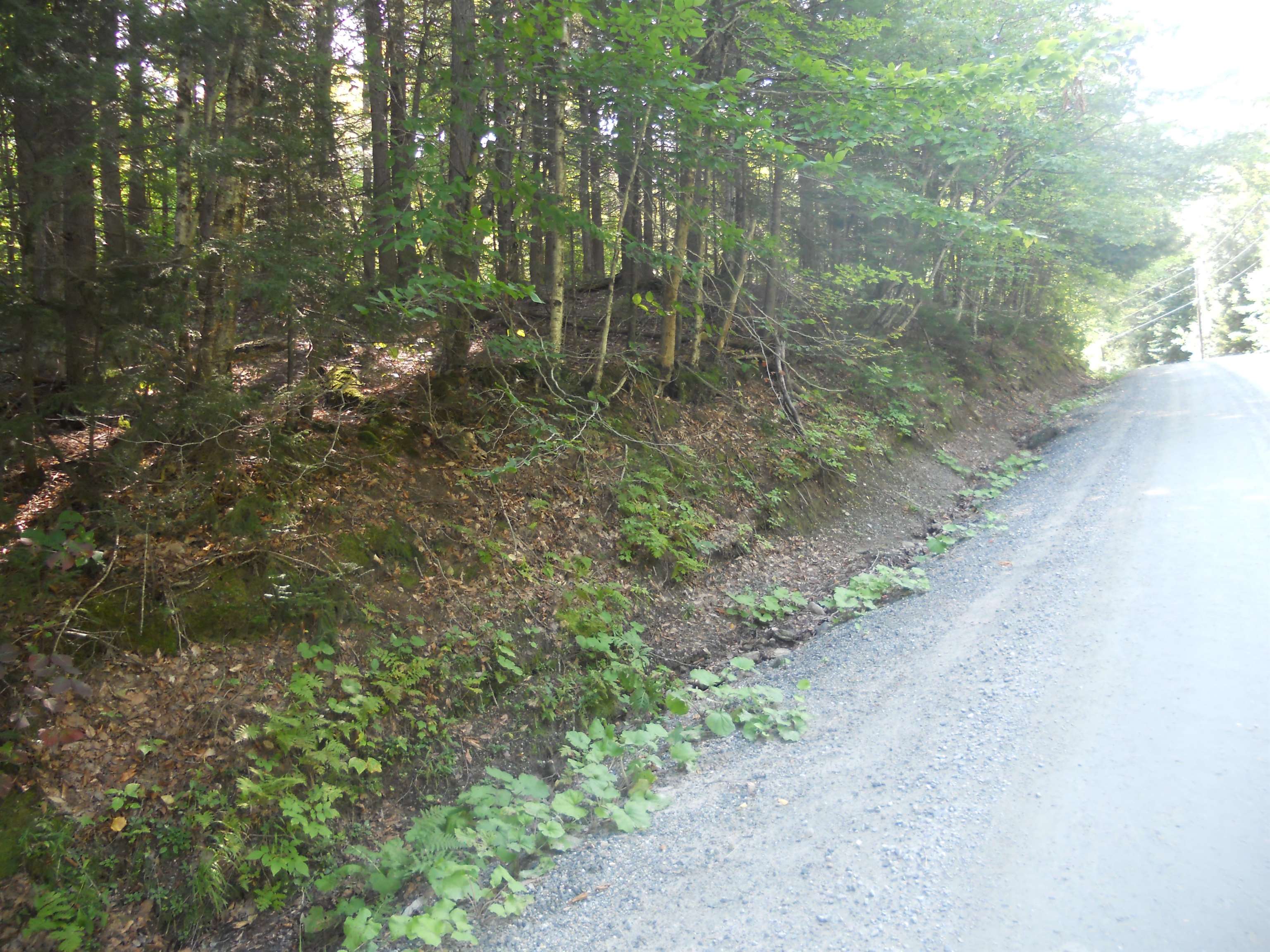 521 Miller Pond Road Grantham, NH 03753 - Photo 2 of 8