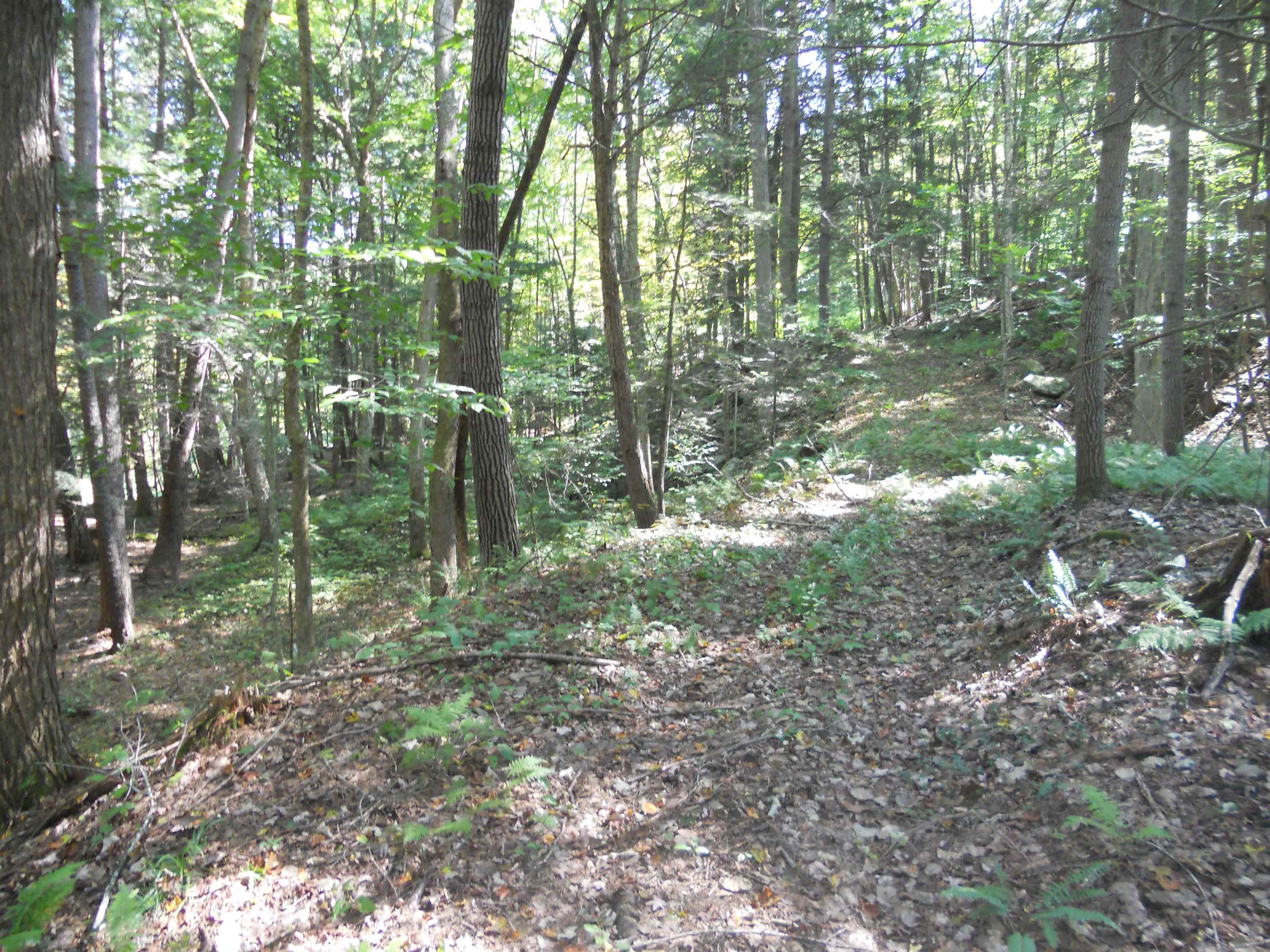 521 Miller Pond Road Grantham, NH 03753 - Photo 3 of 8