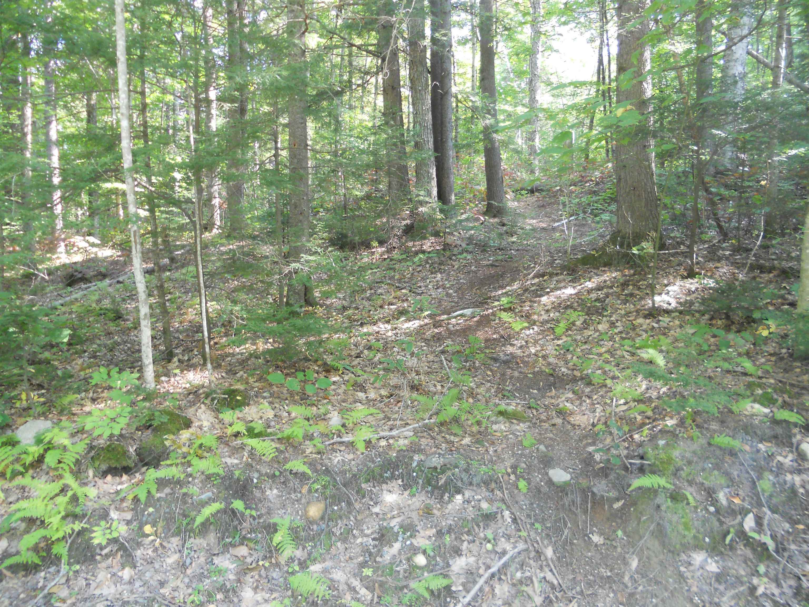 521 Miller Pond Road Grantham, NH 03753 - Photo 4 of 8