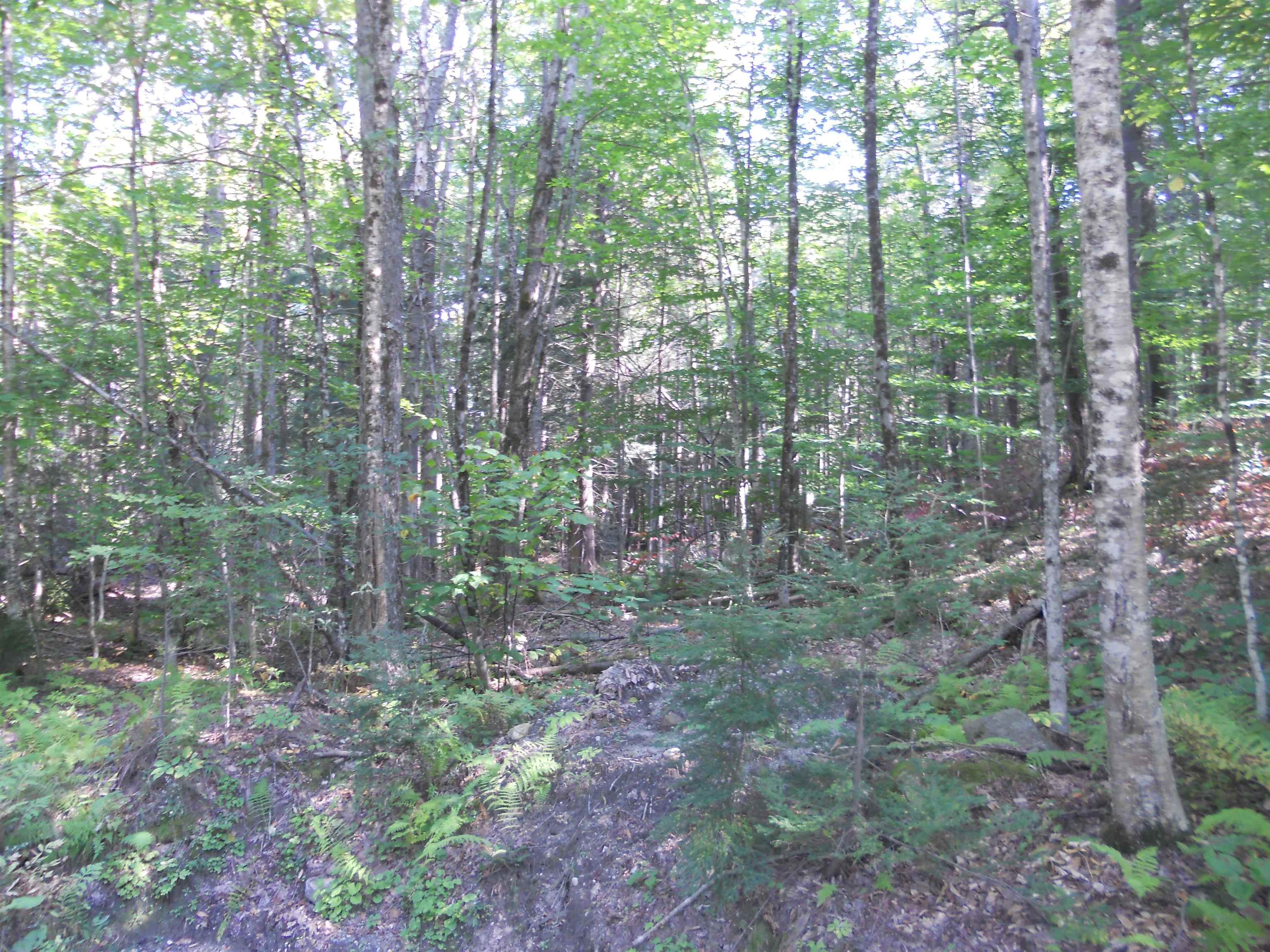 521 Miller Pond Road Grantham, NH 03753 - Photo 5 of 8