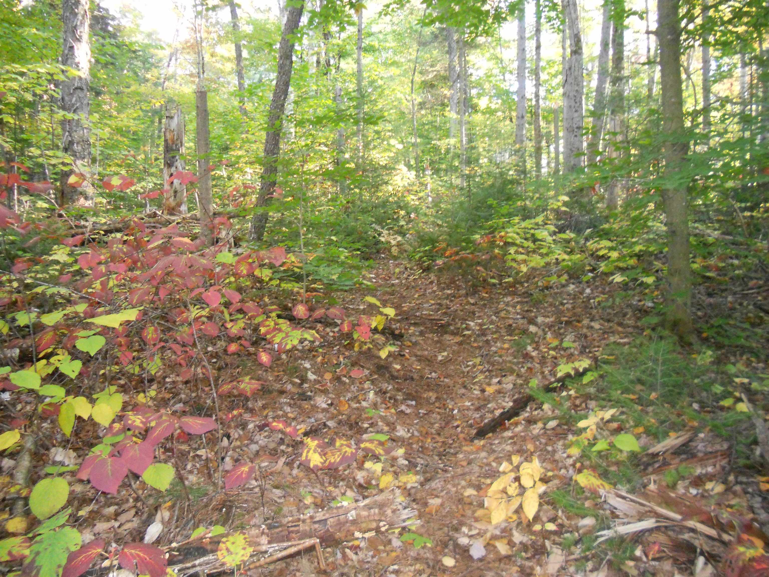 521 Miller Pond Road Grantham, NH 03753 - Photo 8 of 8