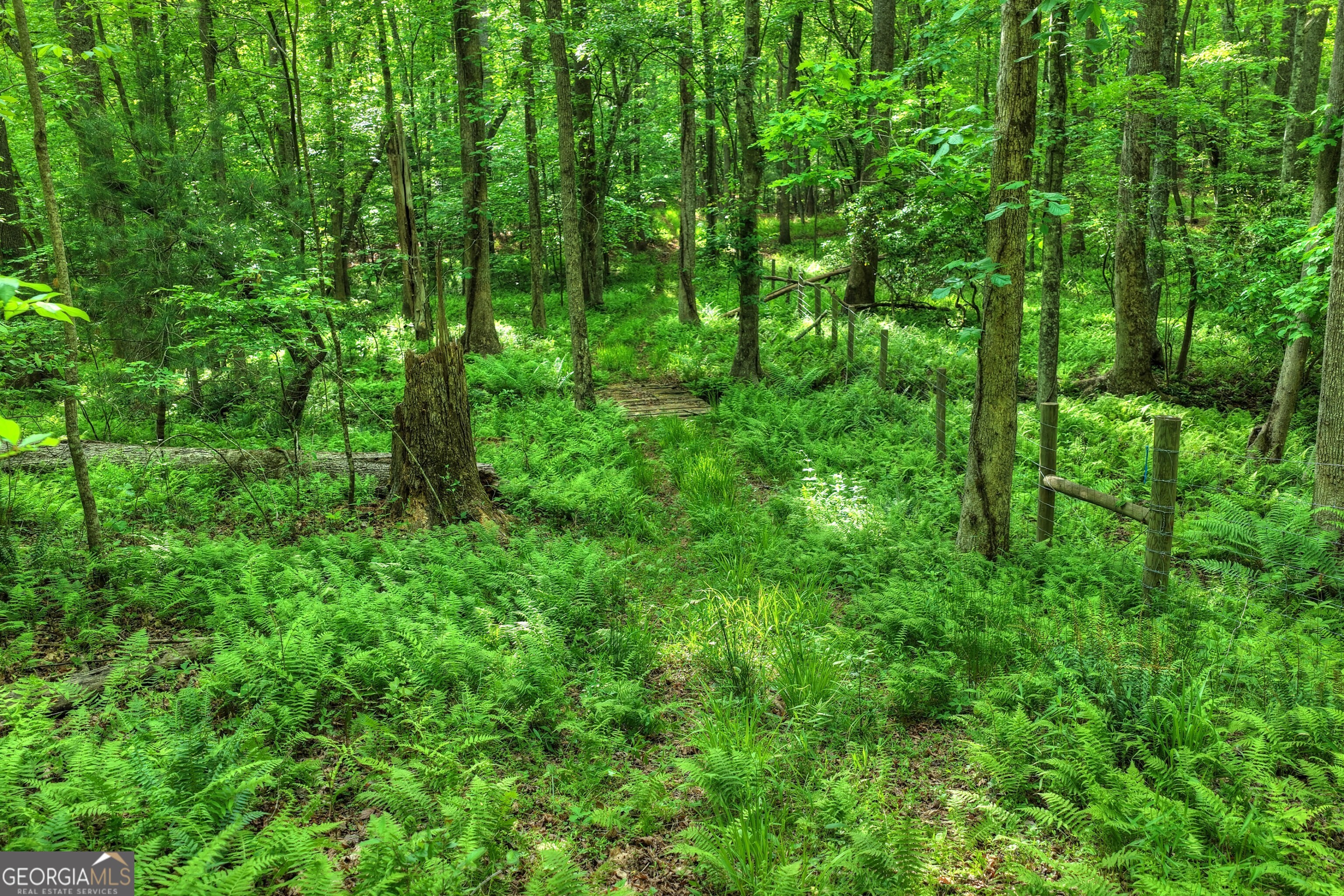8-ac Mcnelley Road Morganton, GA 30560 - Photo 34 of 47
