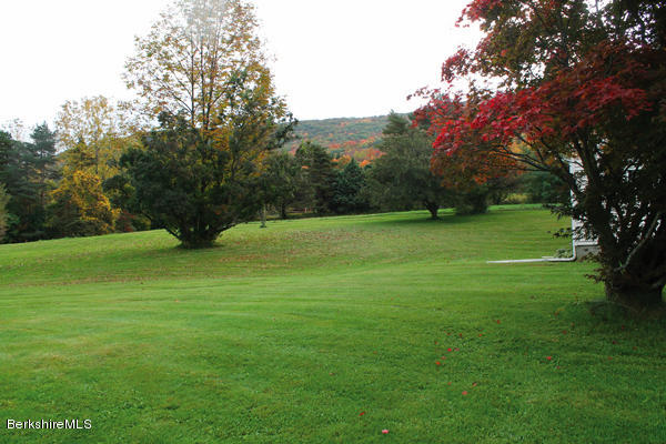 265 Yokun Road Richmond, MA 01201 - Photo 16 of 24 a view of a field with a tree