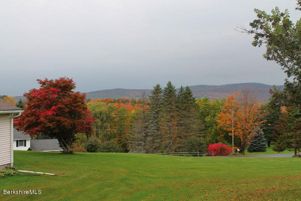 265 Yokun Road Richmond, MA 01201 - Photo 19 of 24 a view of a green field with trees in the background