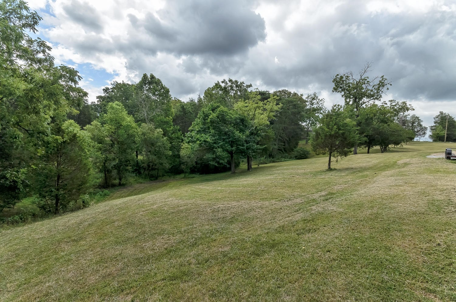 8321 Shelton Road Corryton, TN 37721 - Photo 23 of 28 a big yard with lots of green space and lots of trees