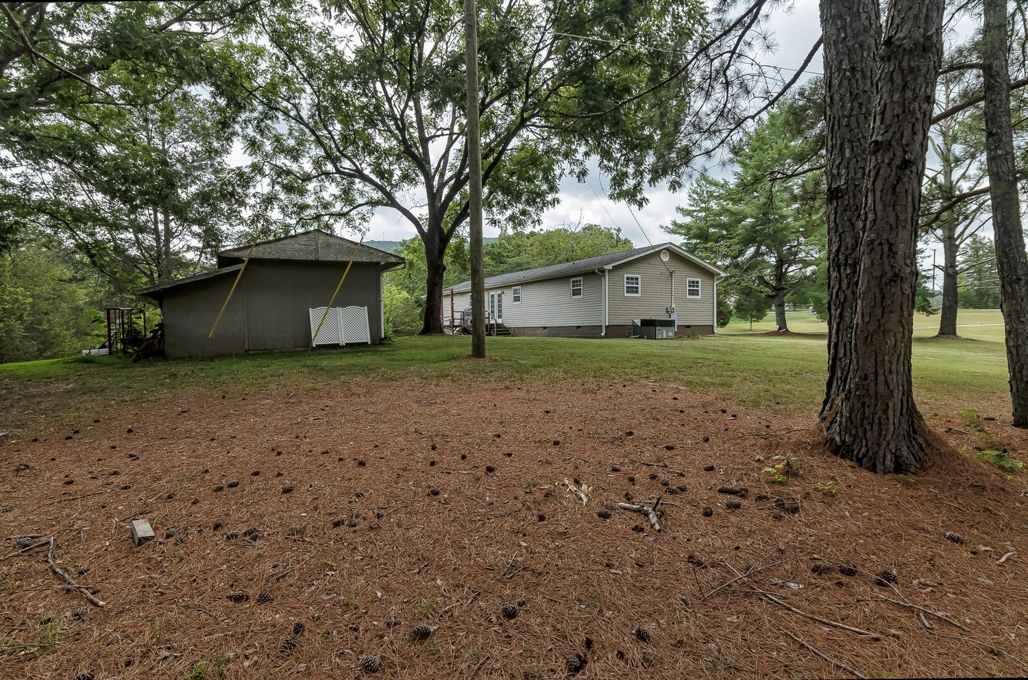 8321 Shelton Road Corryton, TN 37721 - Photo 26 of 28 a house that has a tree in front of it