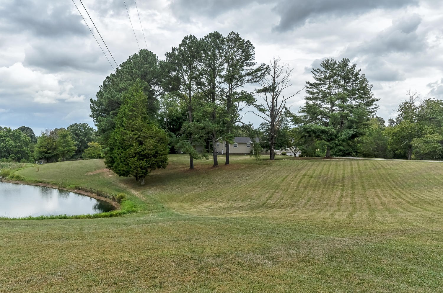 8321 Shelton Road Corryton, TN 37721 - Photo 5 of 28 a view of yard with swimming pool and trees in the background