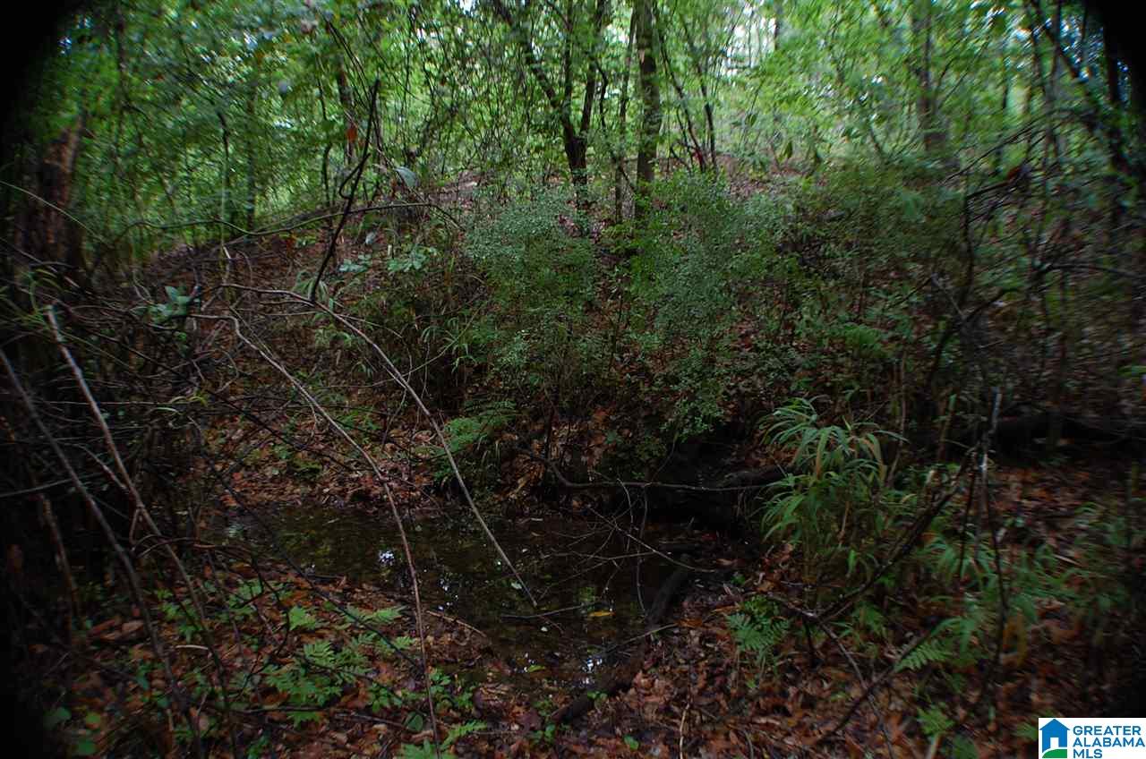 950 County Road 478, Unit 1 Clanton, AL 35046 - Photo 23 of 31