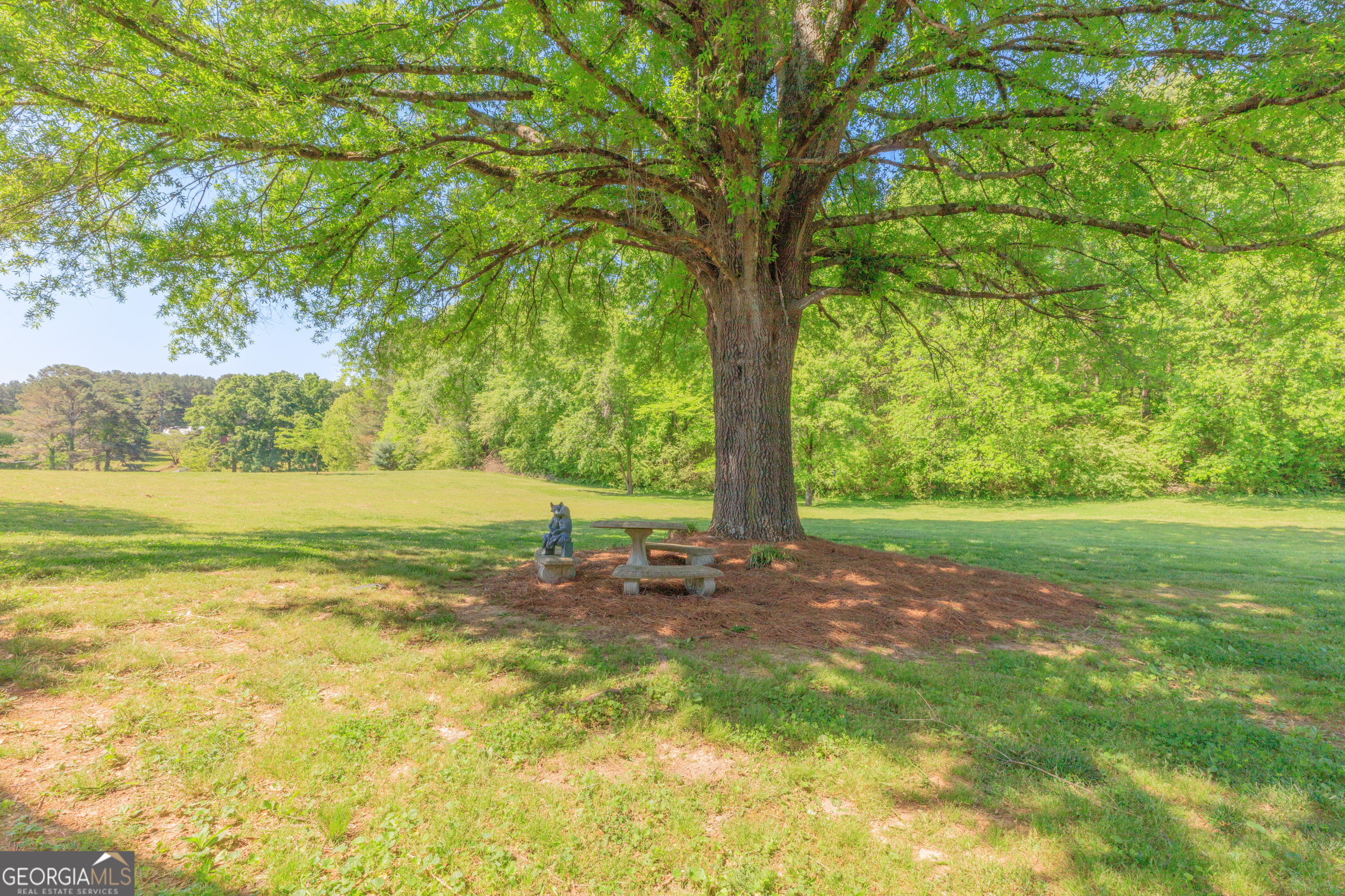669 Chandler Road Chickamauga, GA 30707 - Photo 53 of 125