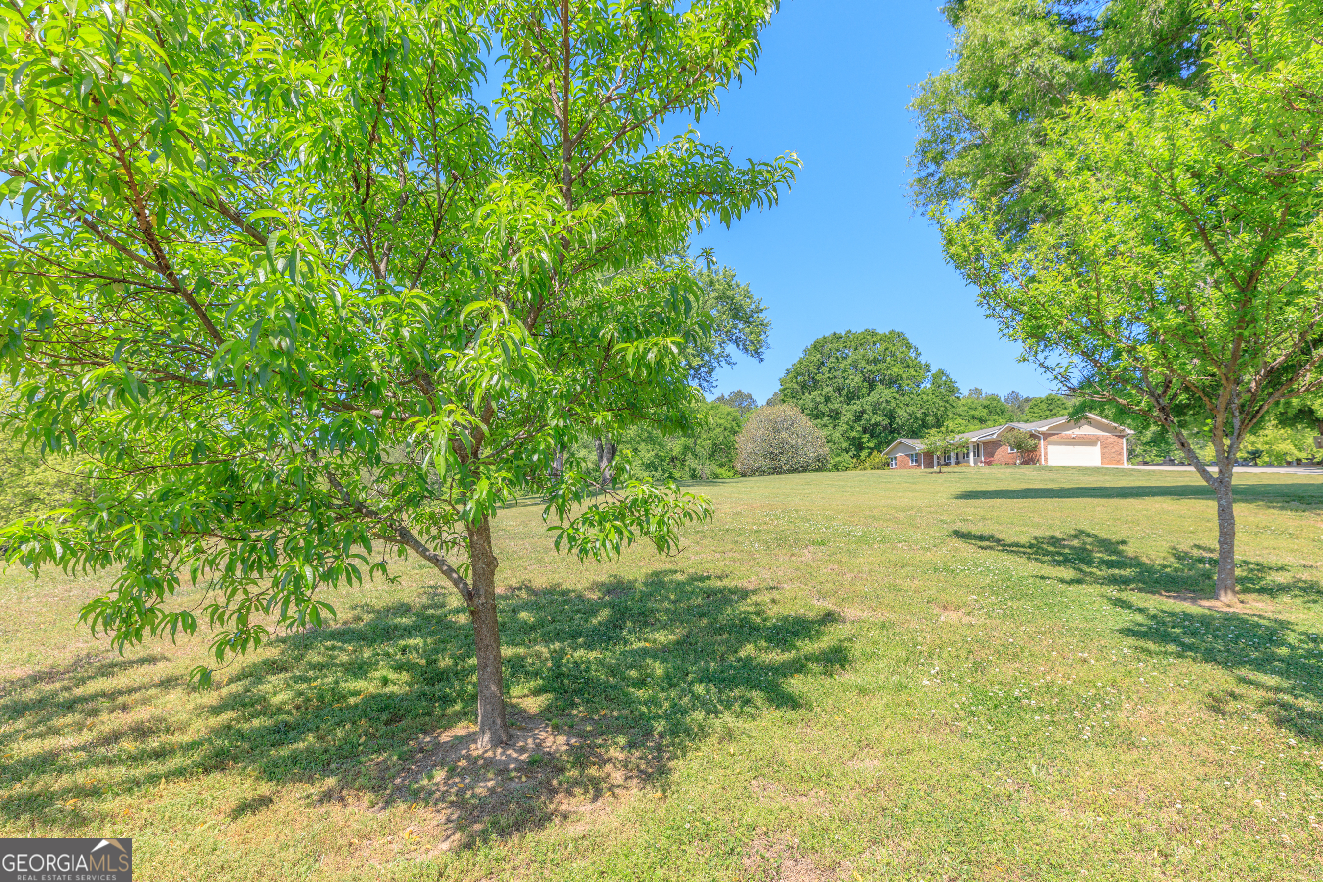 669 Chandler Road Chickamauga, GA 30707 - Photo 86 of 125