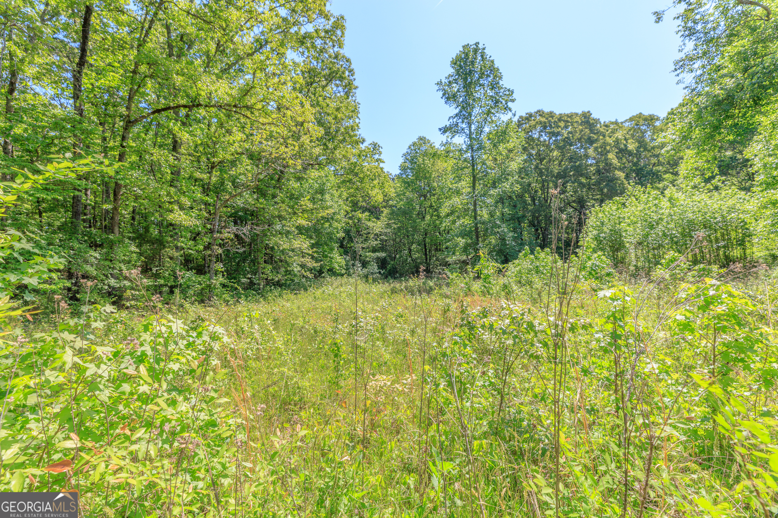 669 Chandler Road Chickamauga, GA 30707 - Photo 95 of 125
